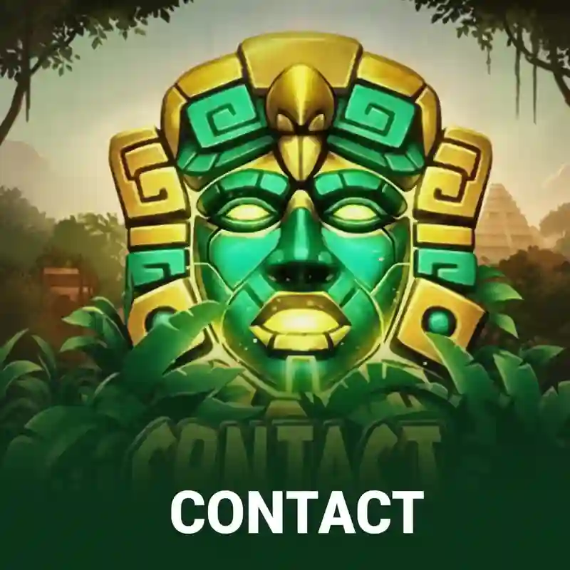 Contact